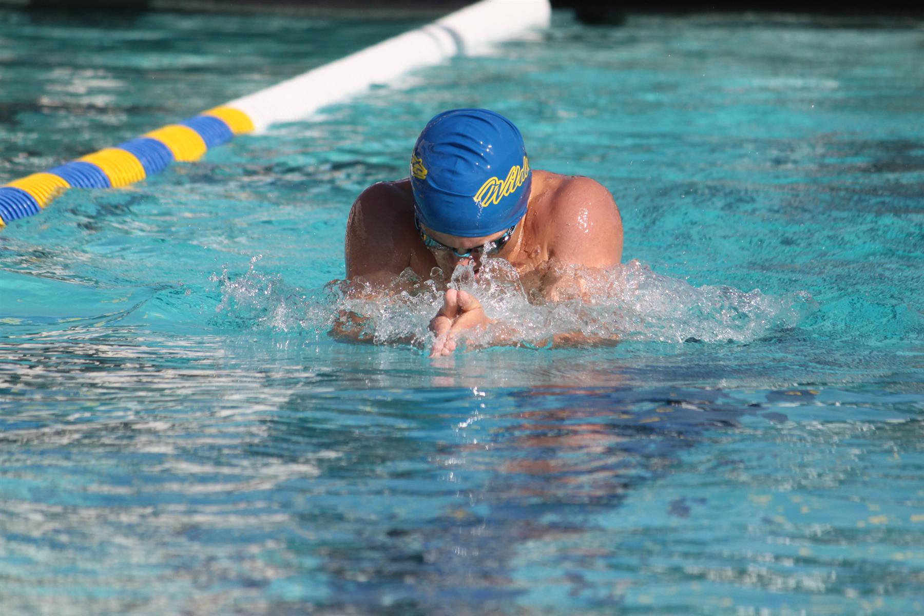 TUHS Swim & Dive Team