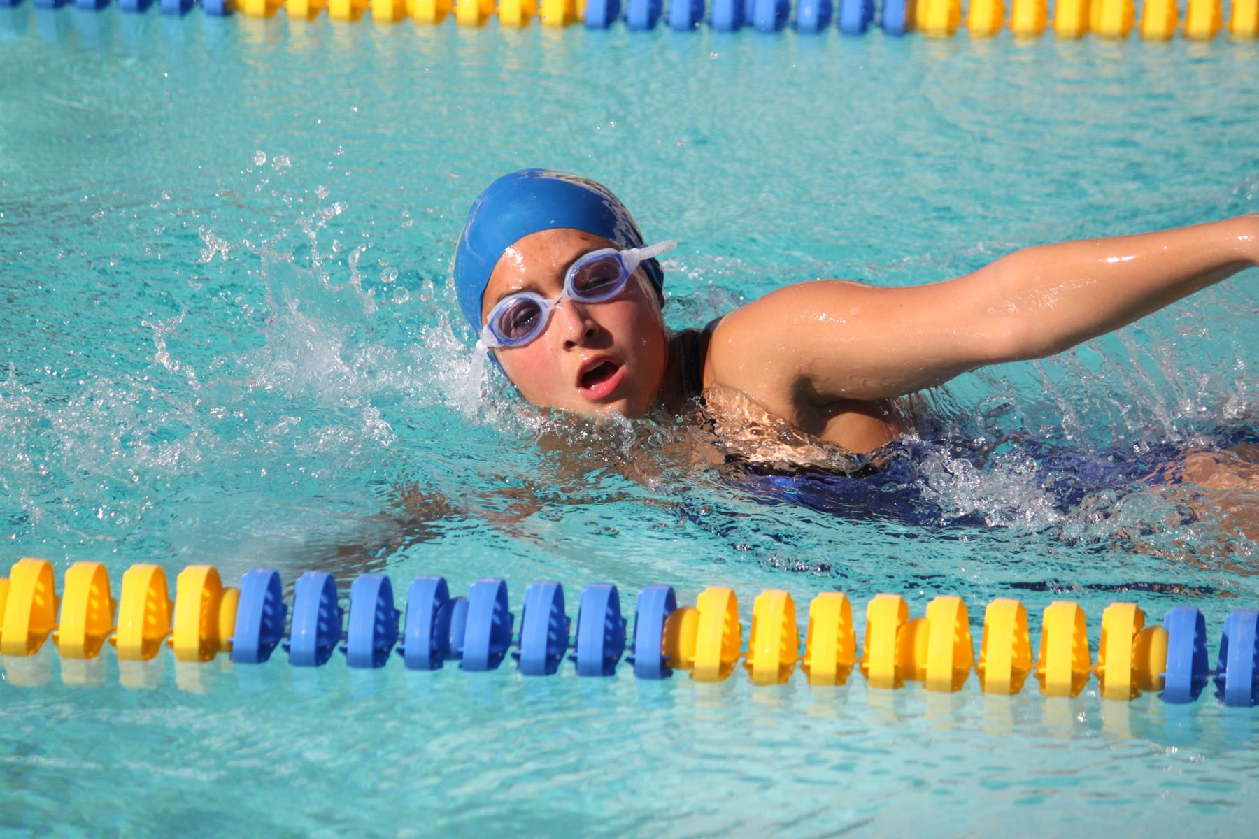 TUHS Swim & Dive Team